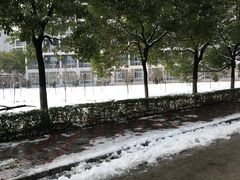 -南京理工大学紫金学院