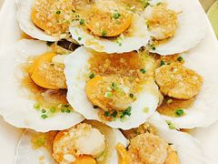 扇贝-金时代顺风大酒店(协泰店)
