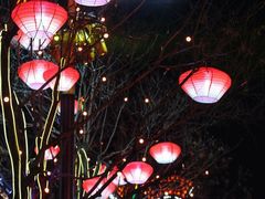 -大雁塔北广场音乐喷泉