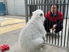 -泉城欧乐堡海洋极地世界