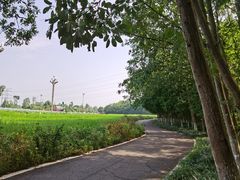 -桤木河湿地公园