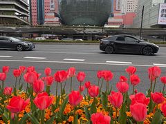 -美罗城