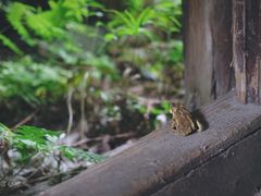 -书隐楼