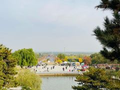 -北京西山国家森林公园