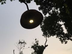 -农厨好味·温泉鹅·农家菜