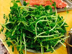 -月圆火锅(宁海东路二店)