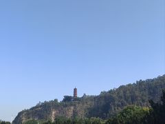 -南沙蒲洲花园
