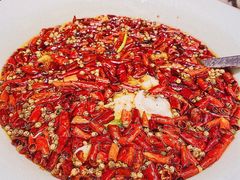 沸腾湄公鱼-辛香汇·现炒川菜(淮海路百盛店)