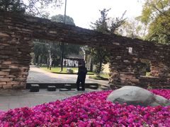 -温江公园