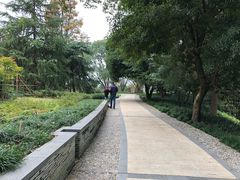 -羡餐厅·杭帮菜·淳菜(千岛湖自由洲际殿店)