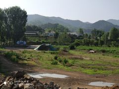 -紫海香堤香草艺术庄园