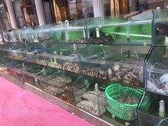 水产区-四海鲜渔家菜(黄金海岸店)