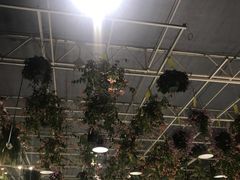 -天宫南铂玫瑰园酒店