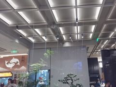 -谭厨中山传家菜.乳鸽.脆鲩鱼(华强北中航城店)