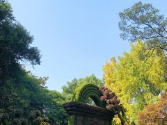 -汇龙潭