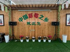 -建德果蔬乐园绪塘草莓基地