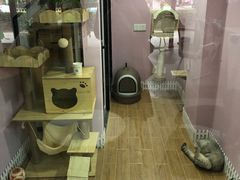 -联合动物医院(光谷诊疗中心)