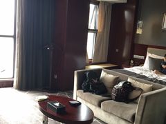 -常州环球恐龙城维景国际大酒店