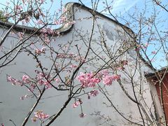 -乌山风景区