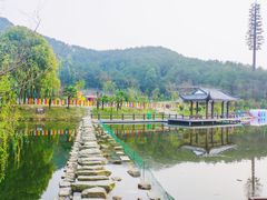 -黄陂区野村谷景区