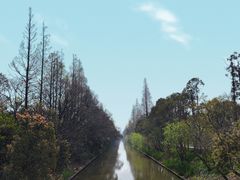 -上海长兴岛郊野公园