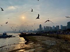 -星海广场