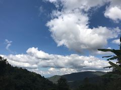 -清迈丛林飞跃 JungleFlight
