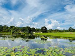 -中国科学院西双版纳热带植物园