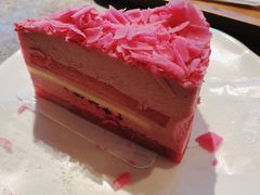 樱之恋蛋糕-星巴克臻选(思南公馆店)