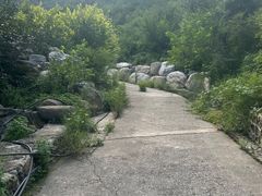 -白水寺森林公园