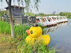 -上海长兴岛郊野公园