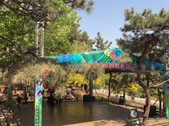 -北京西山国家森林公园