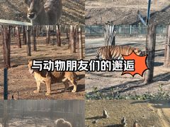 -秦皇岛野生动物园