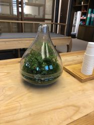 -FineYoga梵音瑜伽·普拉提