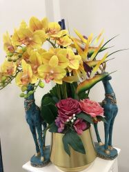 -久匠·纹眉半永久野生眉