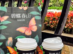 -百分茶(九洲新世界店)