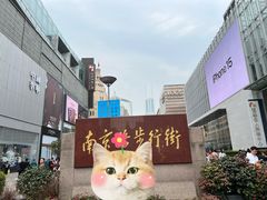 -南京路步行街