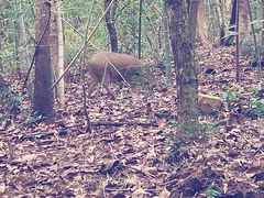 -敬亭山风景名胜区
