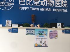 -芭比堂动物医院·CT·微创中心(新顺分院)
