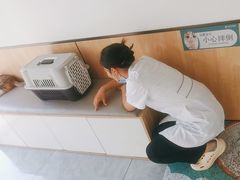 -瑞派雷欧宠物医院·24h夜诊·心脏骨科牙科·全科重症转诊中心(无影山店)