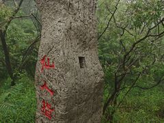 -抱犊寨风景区
