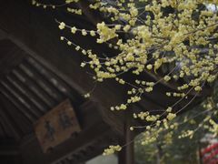 -兴福禅寺