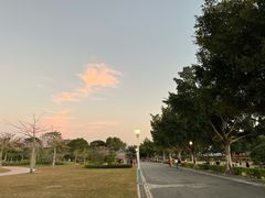 -风云岭森林公园