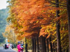 -南京市无想山景区