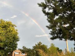 -汉长安城未央宫国家考古遗址公园