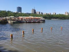 -莲花池公园