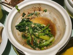 -三强鸽子(中原路店)