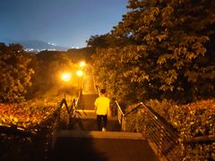 -羊山湖公园