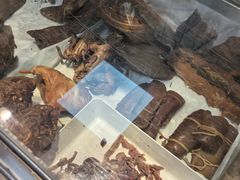 -京八珍(虎坊桥店)