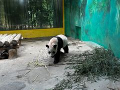 -杭州野生动物世界